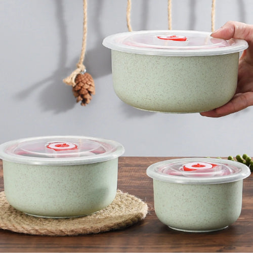 3pcs Food Storage Containers Bento Box Lightweight Food Storage Containers for Kitchen Storage Picnic Meal Prep Take Out